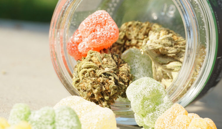 Cannabis and Candy